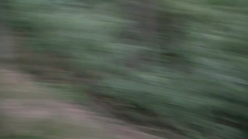 Ella in amateur video showing an outdoor blowjob