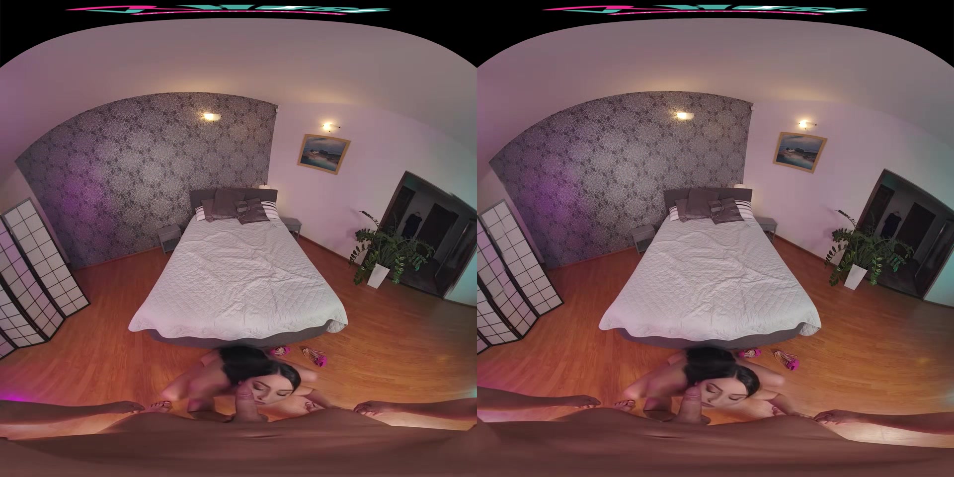 Katy Rose & Jason X - VRHush