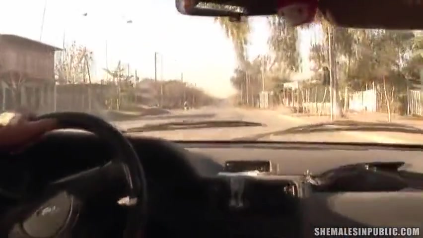Shemales In Public 01