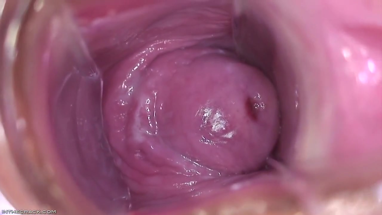 Inside Brandys Pussy