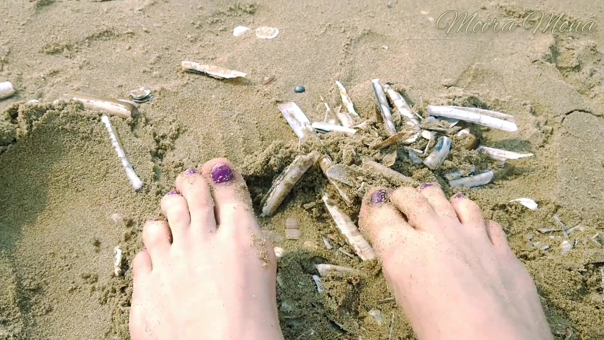 Sand And Shells Under My Feet