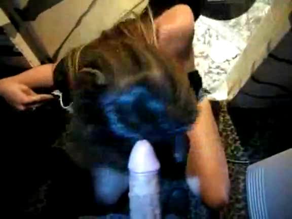 Club slut got on her knees to see dude's willy and taste it