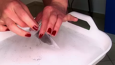 Tasty Shaver - PornWorld