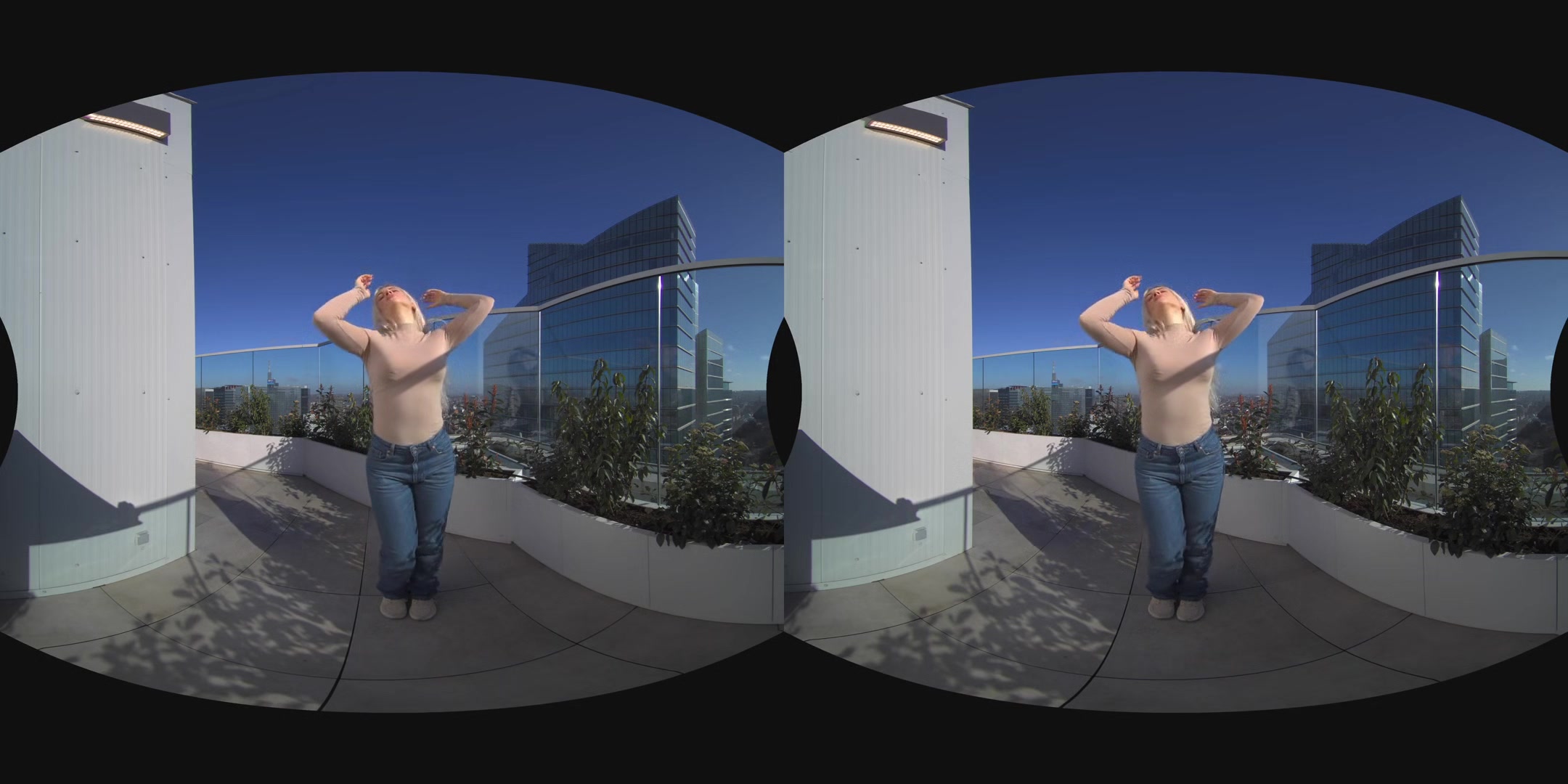 Introducing Vermilion