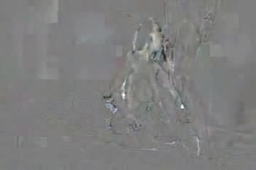 Big boobed Latina fucks an old man