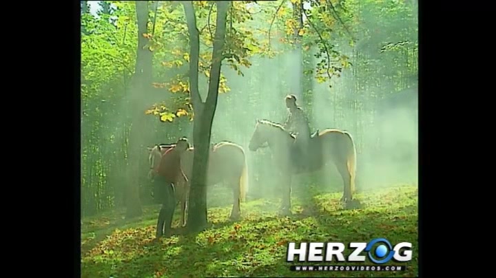 Yodel Porn - HerzogVideos