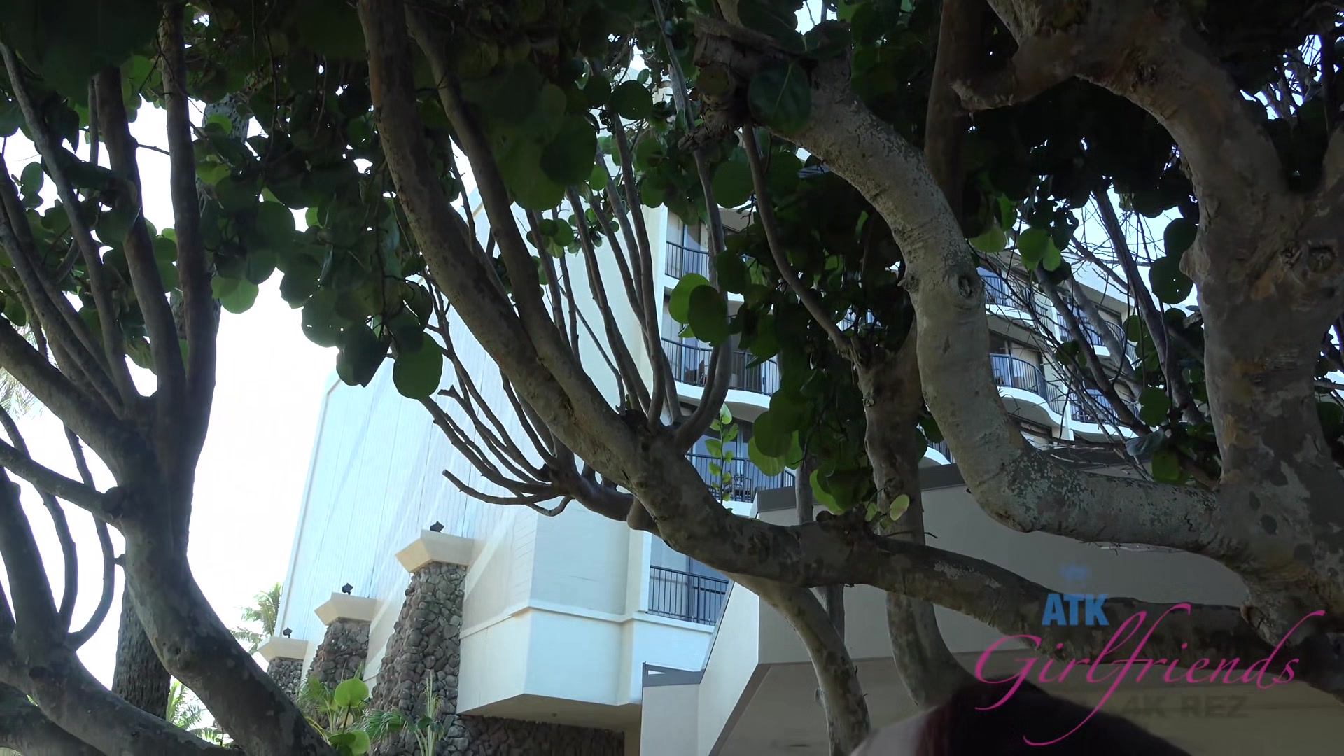 Virtual Vacation Hawaii With Violet Monroe 4/5