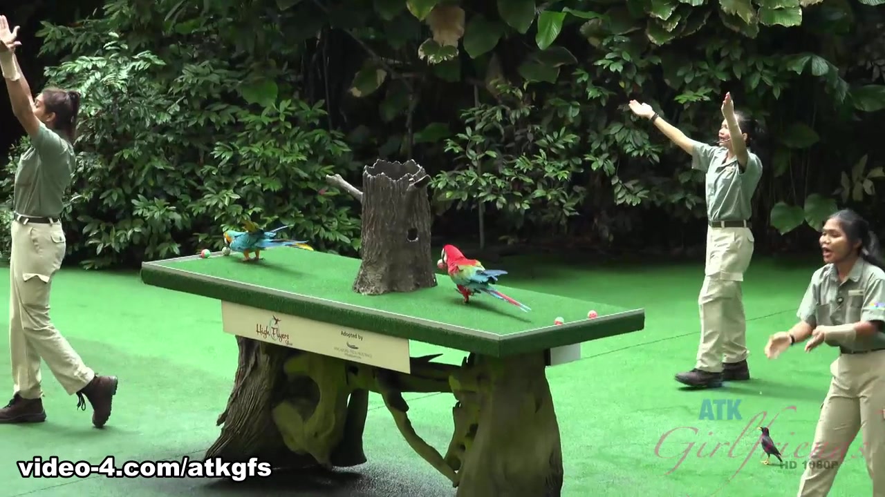 Elena Koshka in You Take Elena To The Wild Animal Park After She Gets Wild - ATKGirlfriends