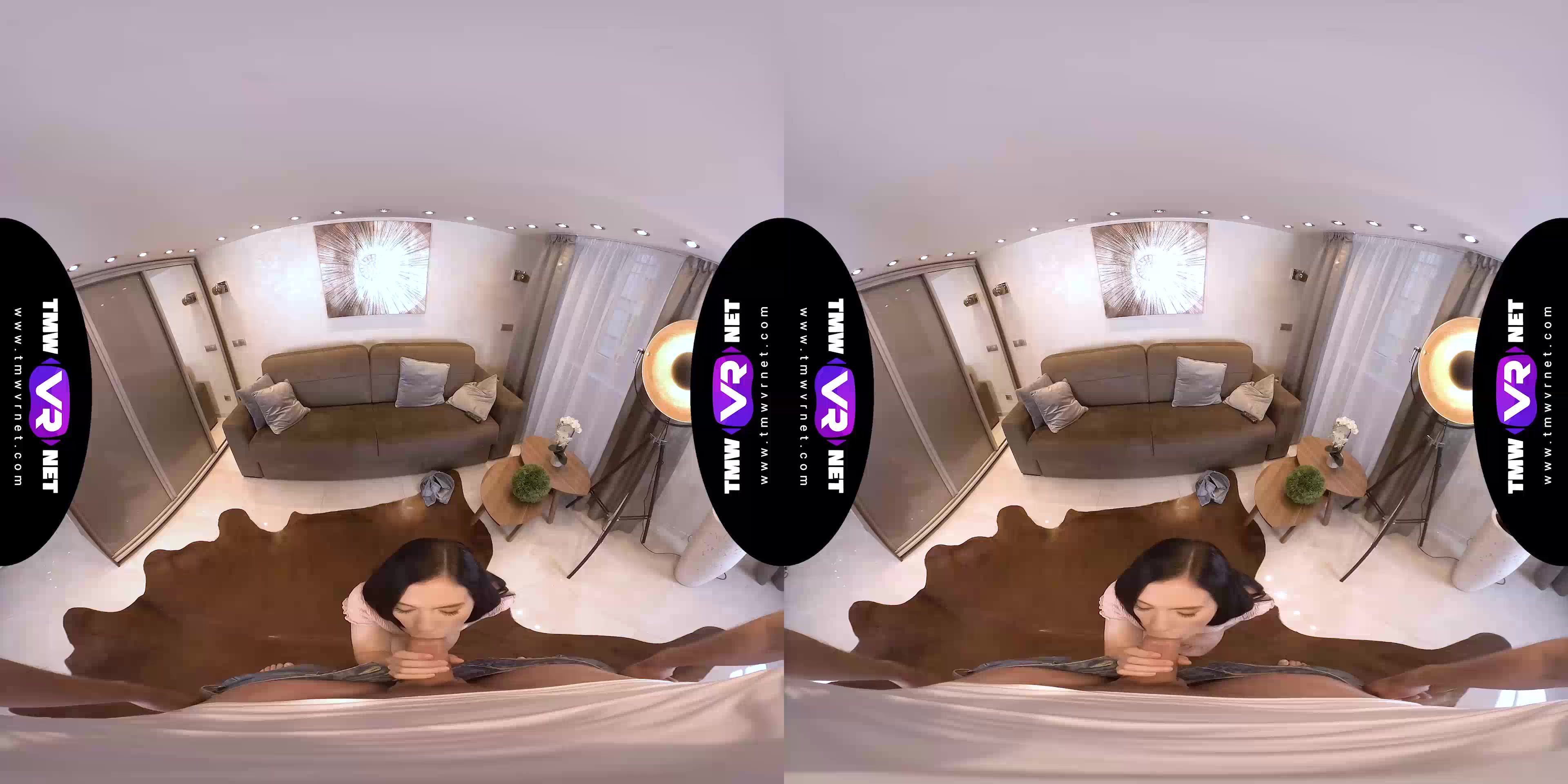 Roommates become lovers on couch