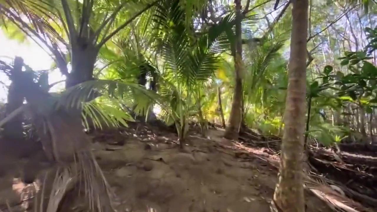 4k 60 Fps Risque Testicles Exhibitionism With Masturbation At Panama Beach