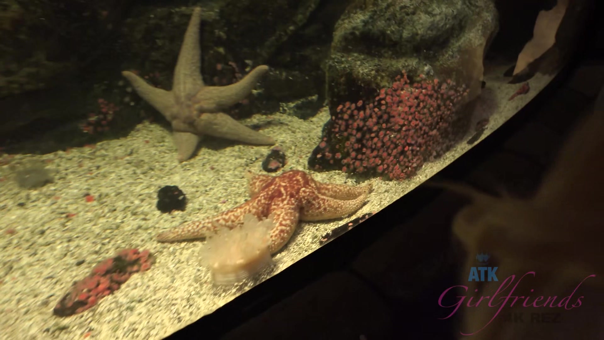 Virtual Vacation In Las Vegas With Eliza Jane Part 1