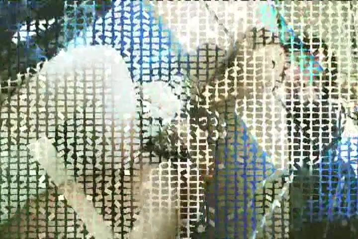 Amateur Japanese Movie