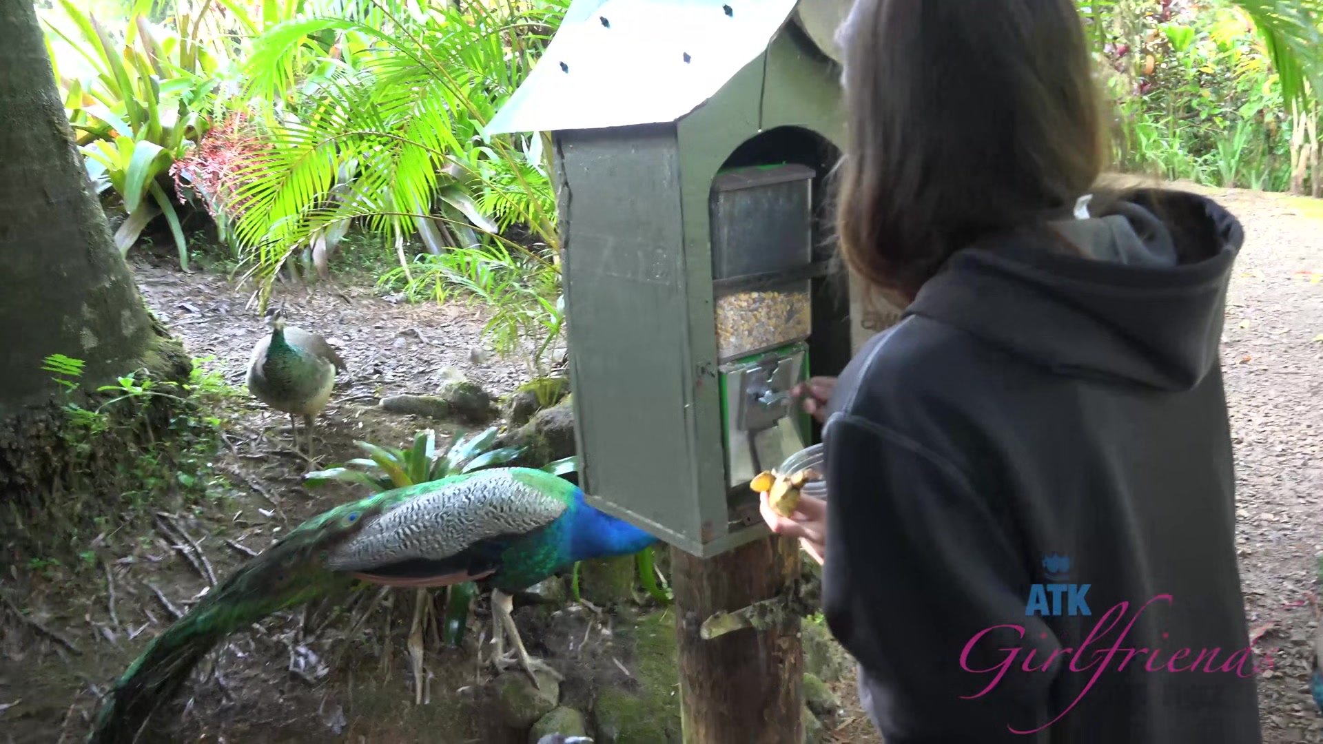 Virtual Vacation Hawaii With Zaya Casiddy 8/11