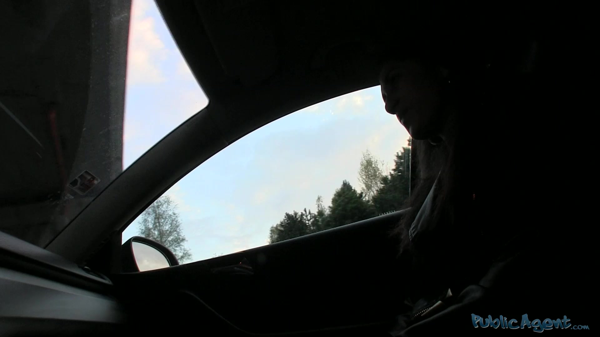 PublicAgent Video Scene. Juli