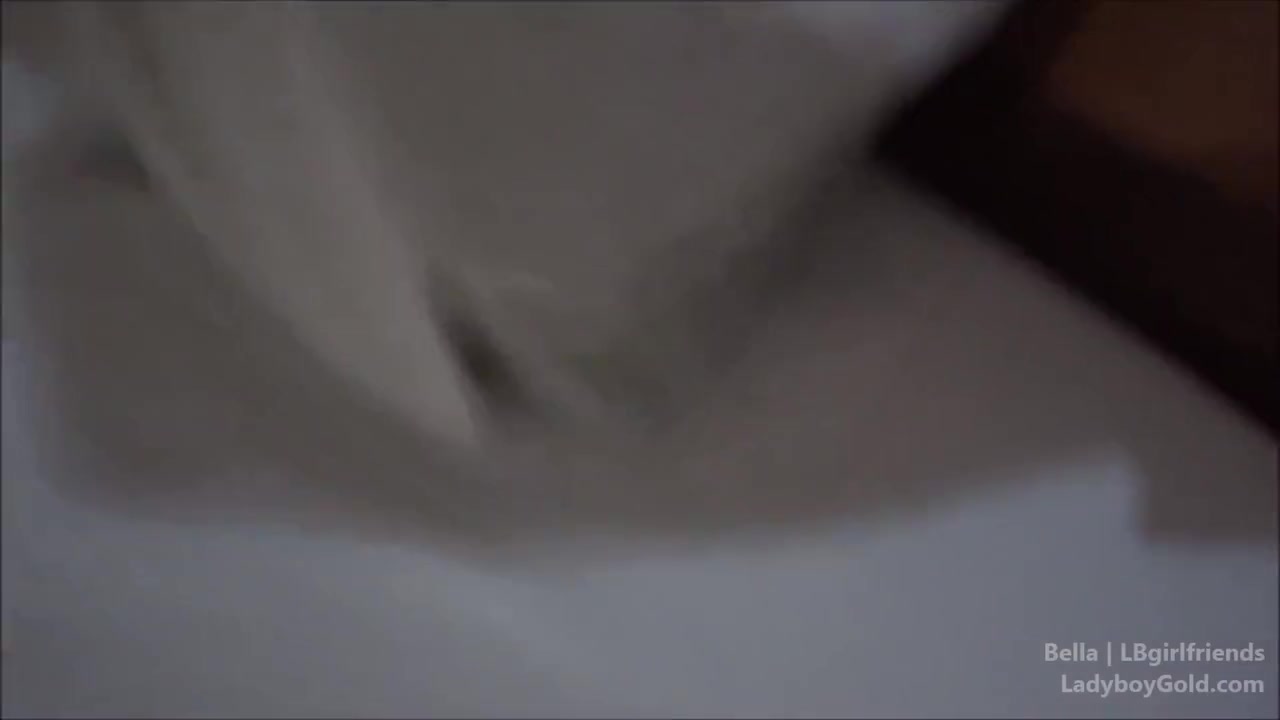 Bella is a pretty shemale sucking stiff dick