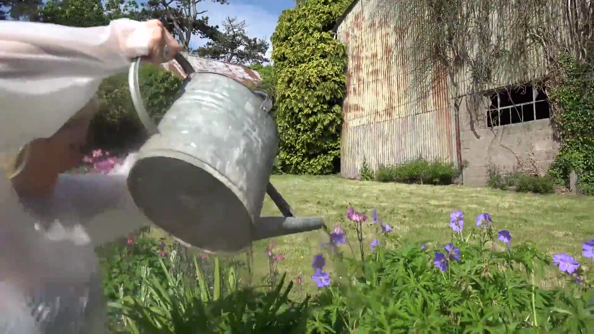 Watering My Plants Pt1 - TacAmateurs