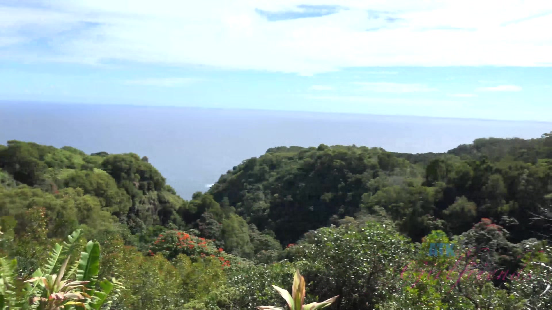Virtual Vacation In Hawaii With Makenna Blue Part 7