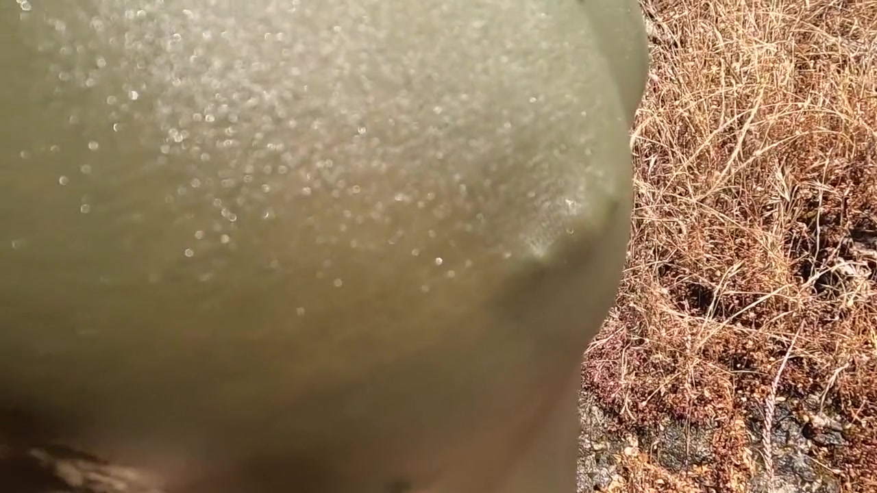 Wet T-shirt She Wants Sex He Fists This Little Blonde With The Perfect Body And Her Smooth Pussy