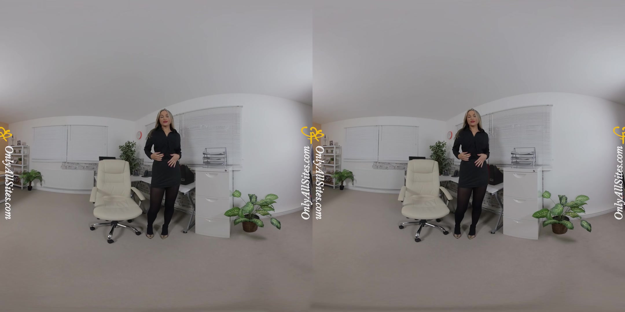 Blondie Rose - Sexy Secretary - OnlyTease