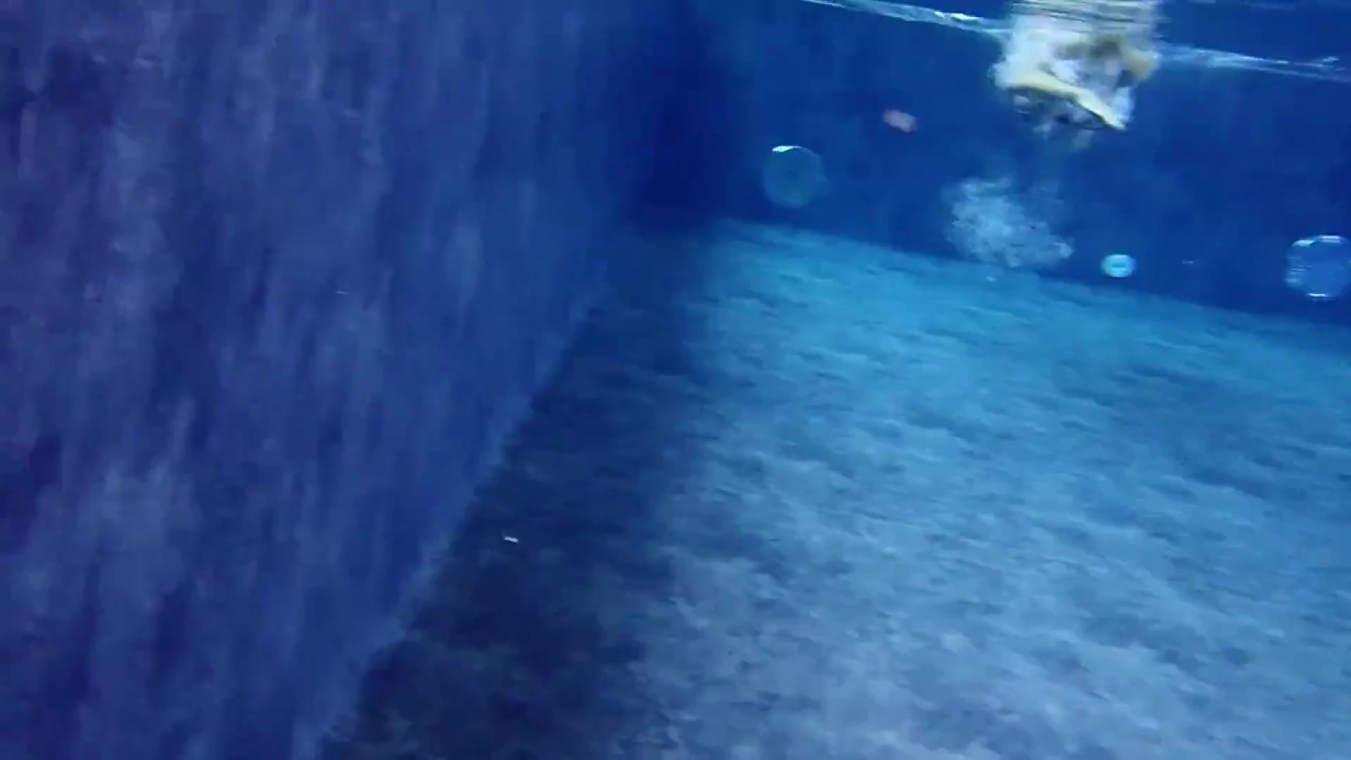 In The Pool Pt2 - TacAmateurs