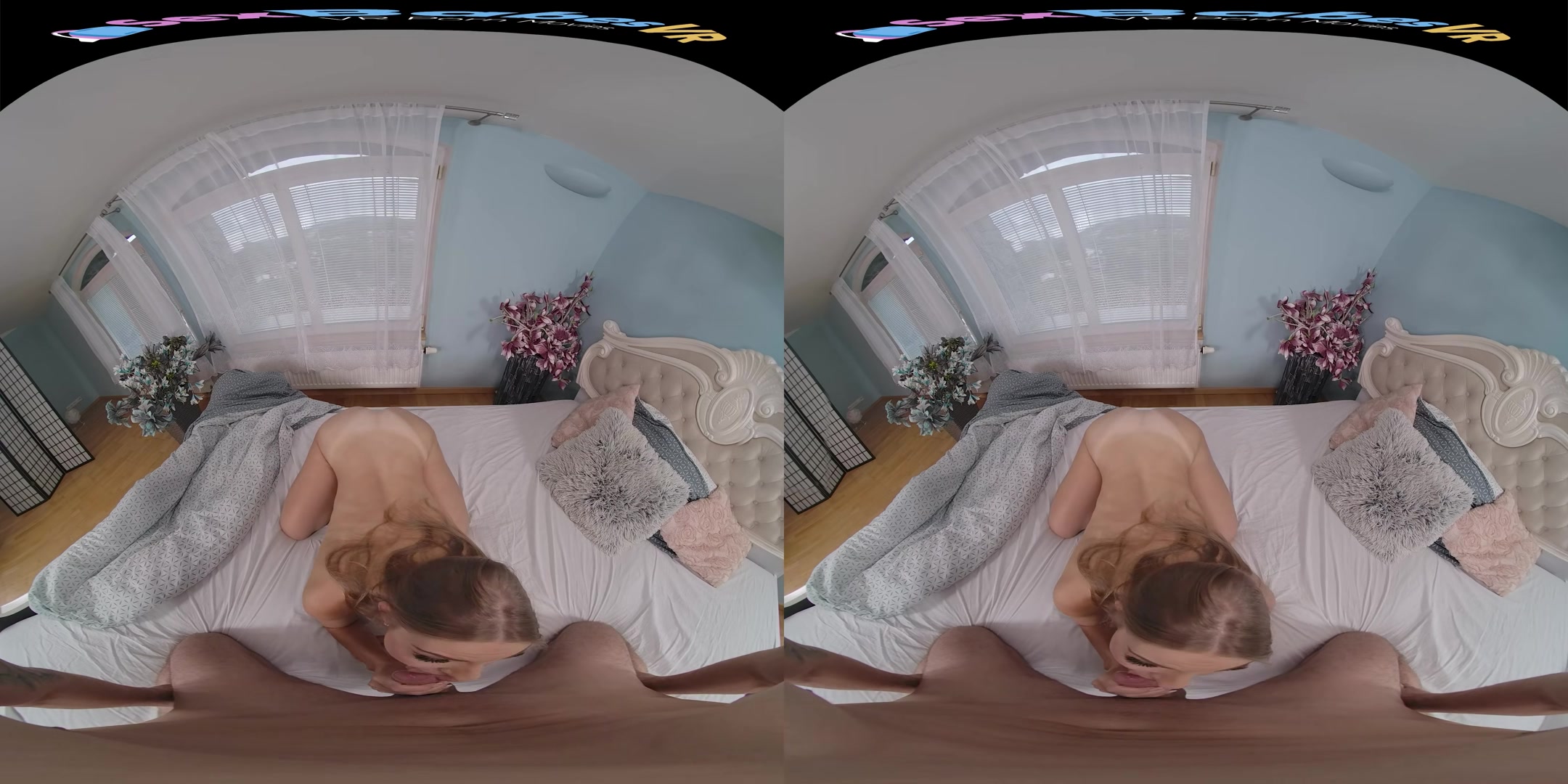 Naughty House-Sitting - SexBabesVR