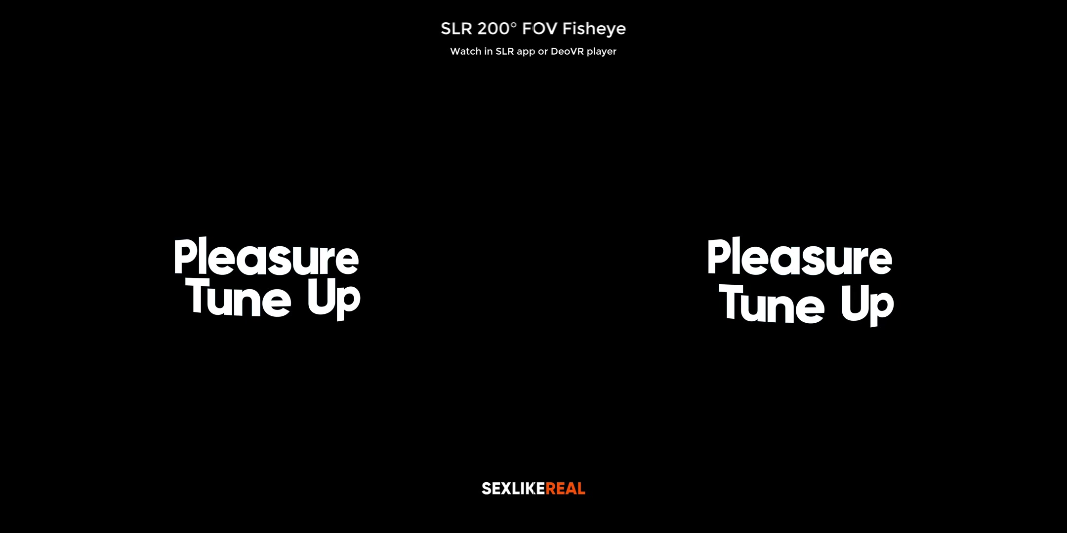 Pleasure Tune Up - SLROriginals