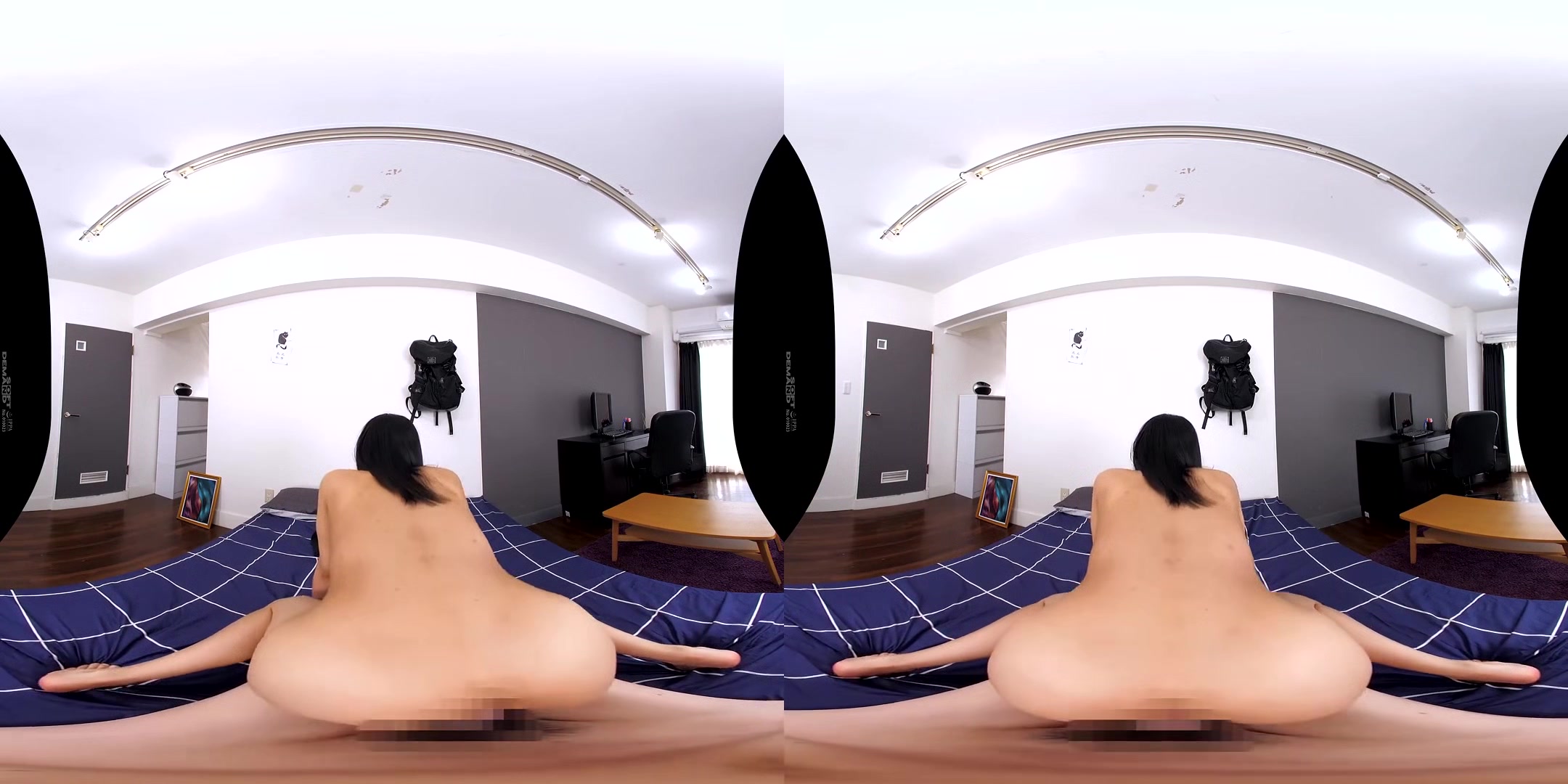 The Barrier in My Room VR: We're Doing What I Want While We're Here!; Japanese Harem POV VR