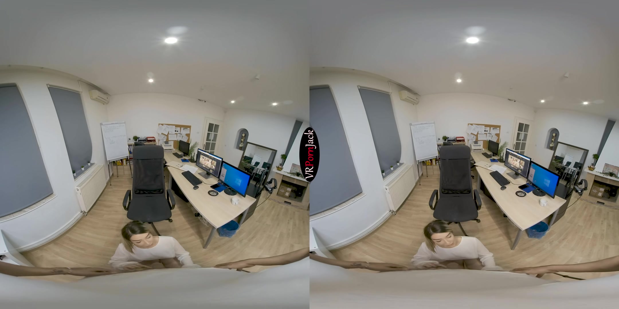 At the Office - Blackmailing My Secretary - VRpornjack