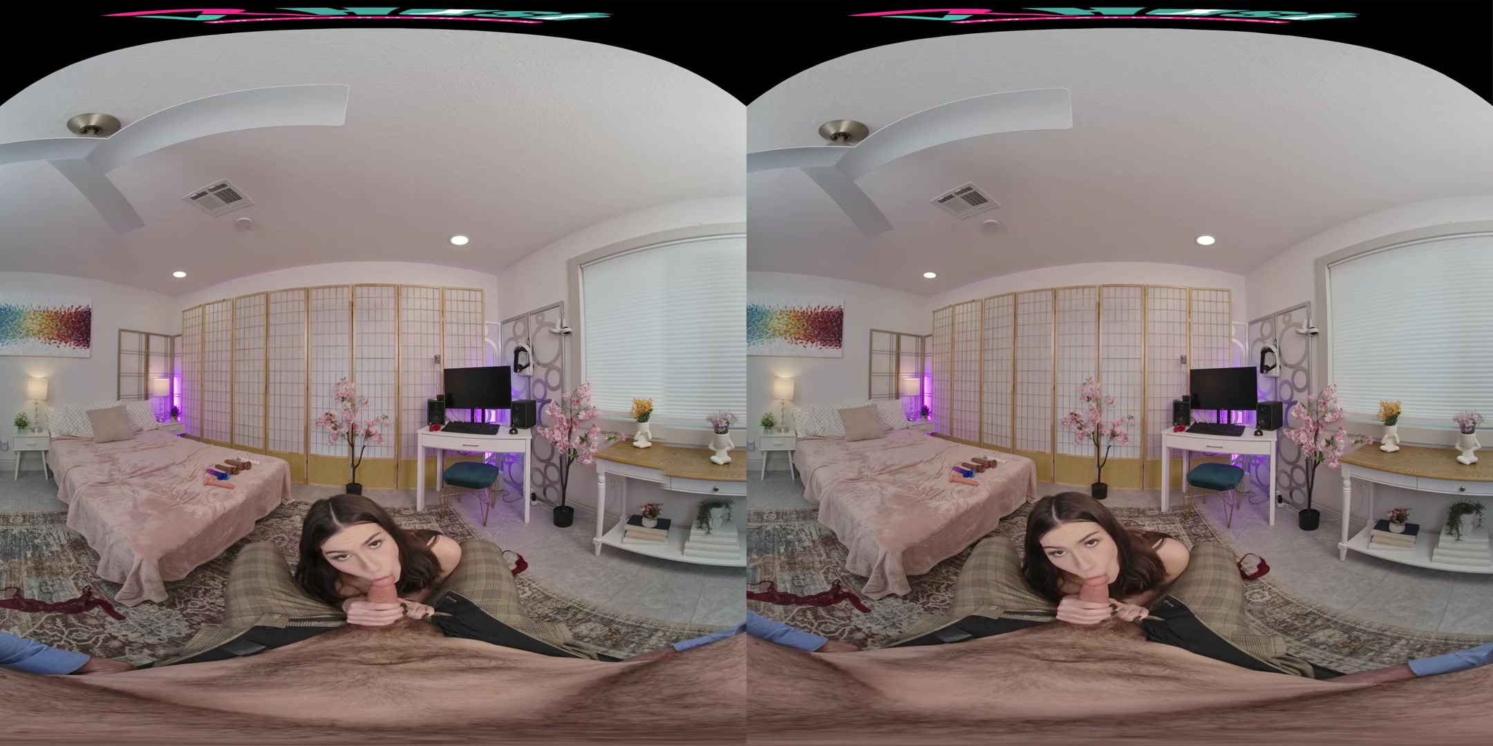 The Voyeur's Point Of View