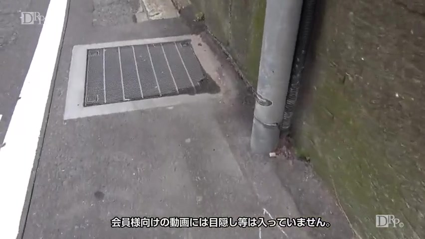 Reiko Japanese Video