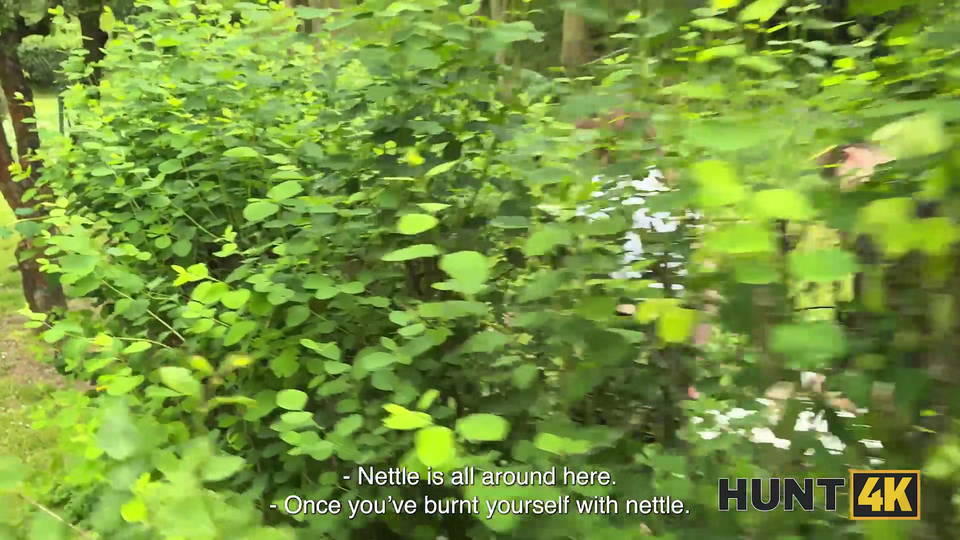 HUNT4K. Real Juicy Pussy Hunting