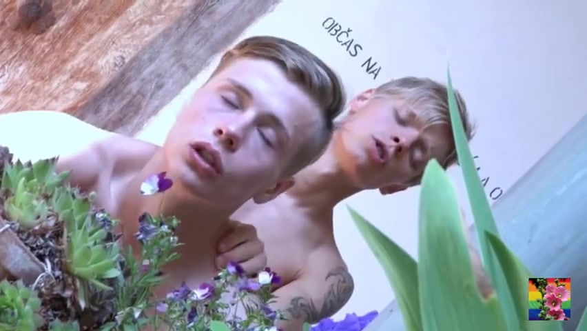 hbw Sven And Ben Videos