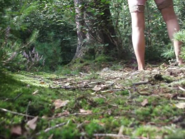 Im wald 3