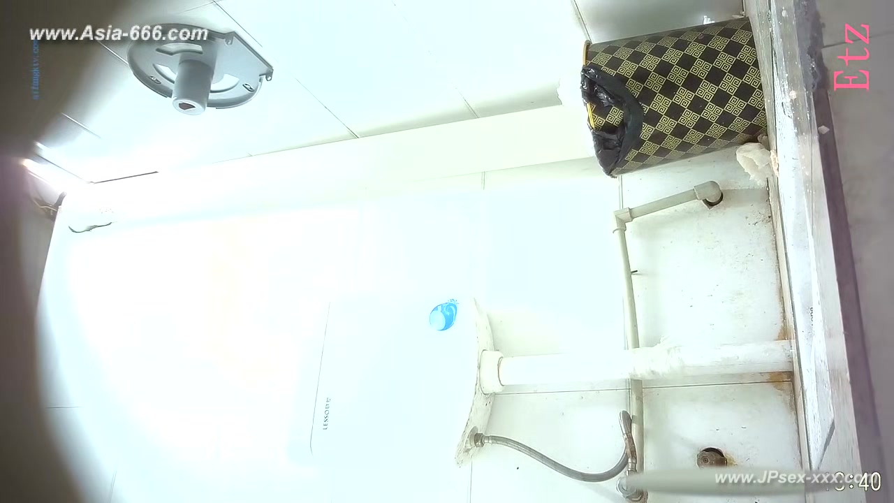 chinese girls go to toilet.313
