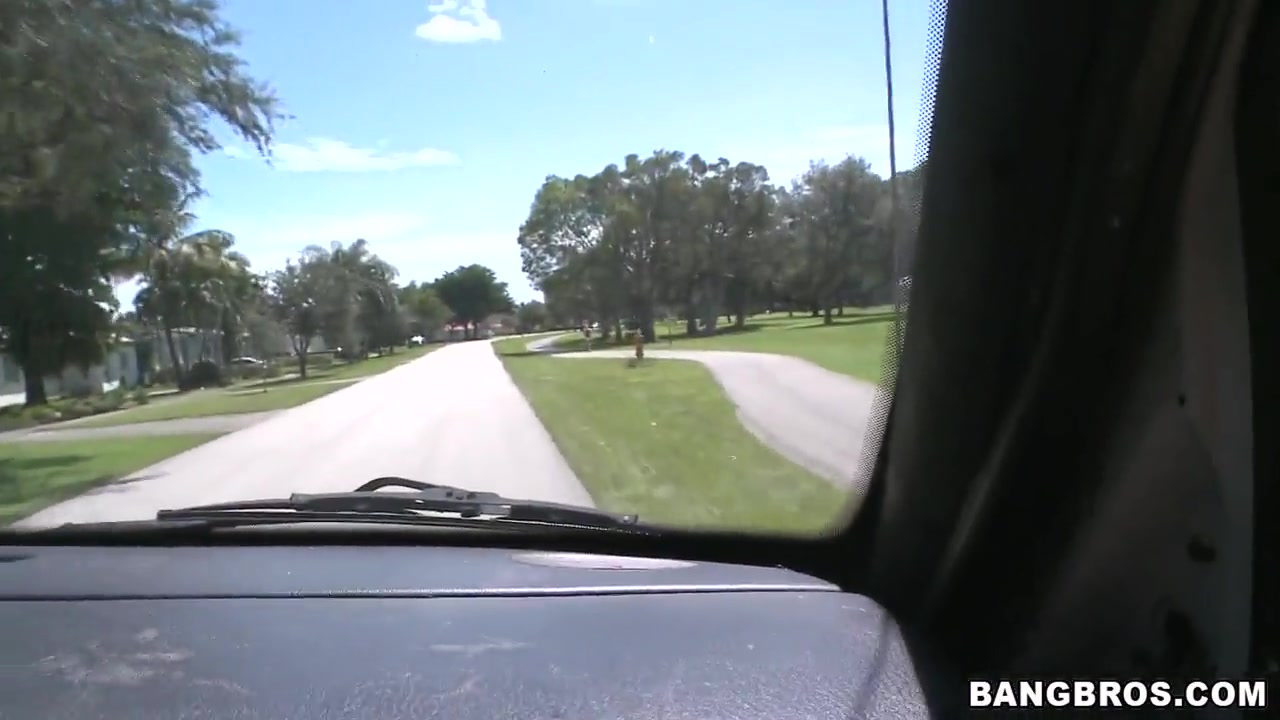 Cute amateur blonde Anamarie gets pulled over in the park
