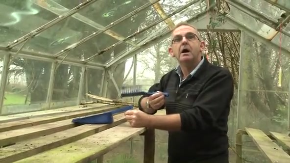 Greenhouse Games Mp4