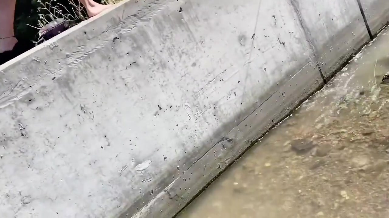 Camping Adventure
