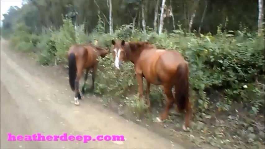 Heather Deep 4 wheeling on scary fast quad and ###ing next to horses in the jungle3