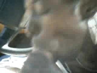 Black hussy sucks the life out of white dude's cock