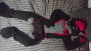 Sexy Fursuit Stripping