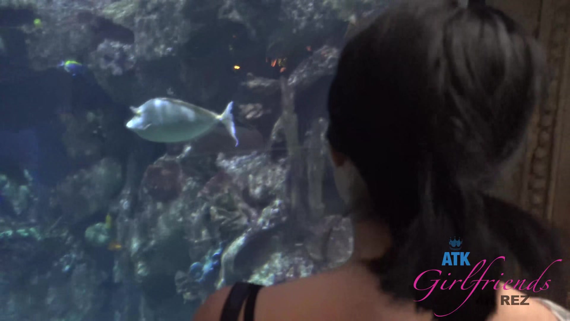 Virtual Vacation In Las Vegas With Rina Ellis Part 1