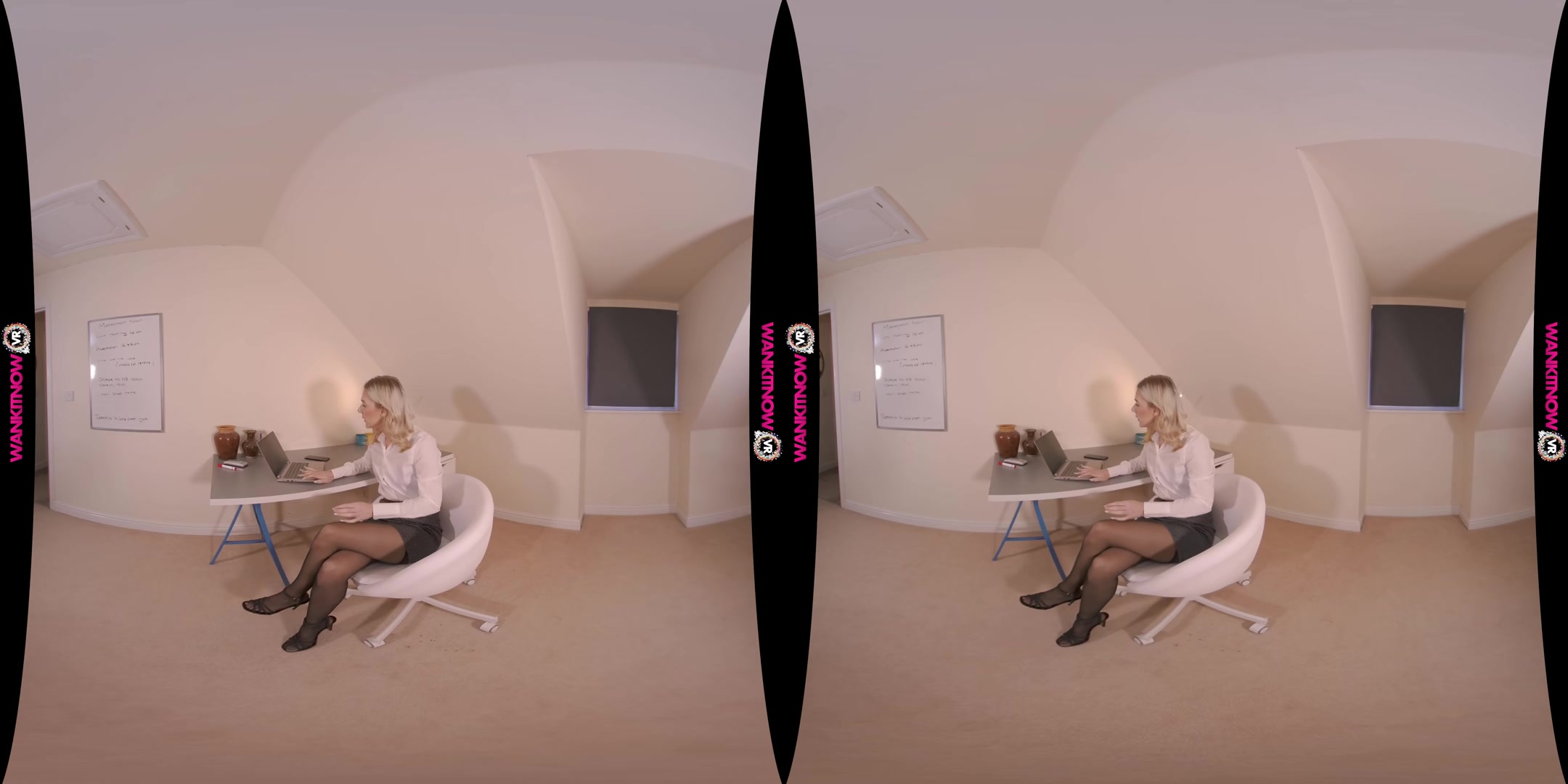 Payraise Persuasion - WankitnowVR