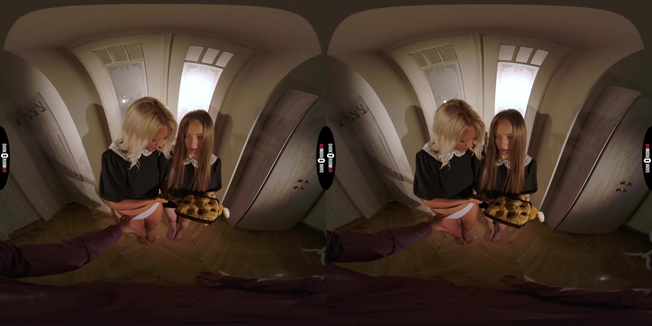Lady Bug & Kathy Anderson VR Porn: Meeting The Neighbour - DarkRoomVR