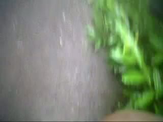 Outdoor quickie blow job for couple