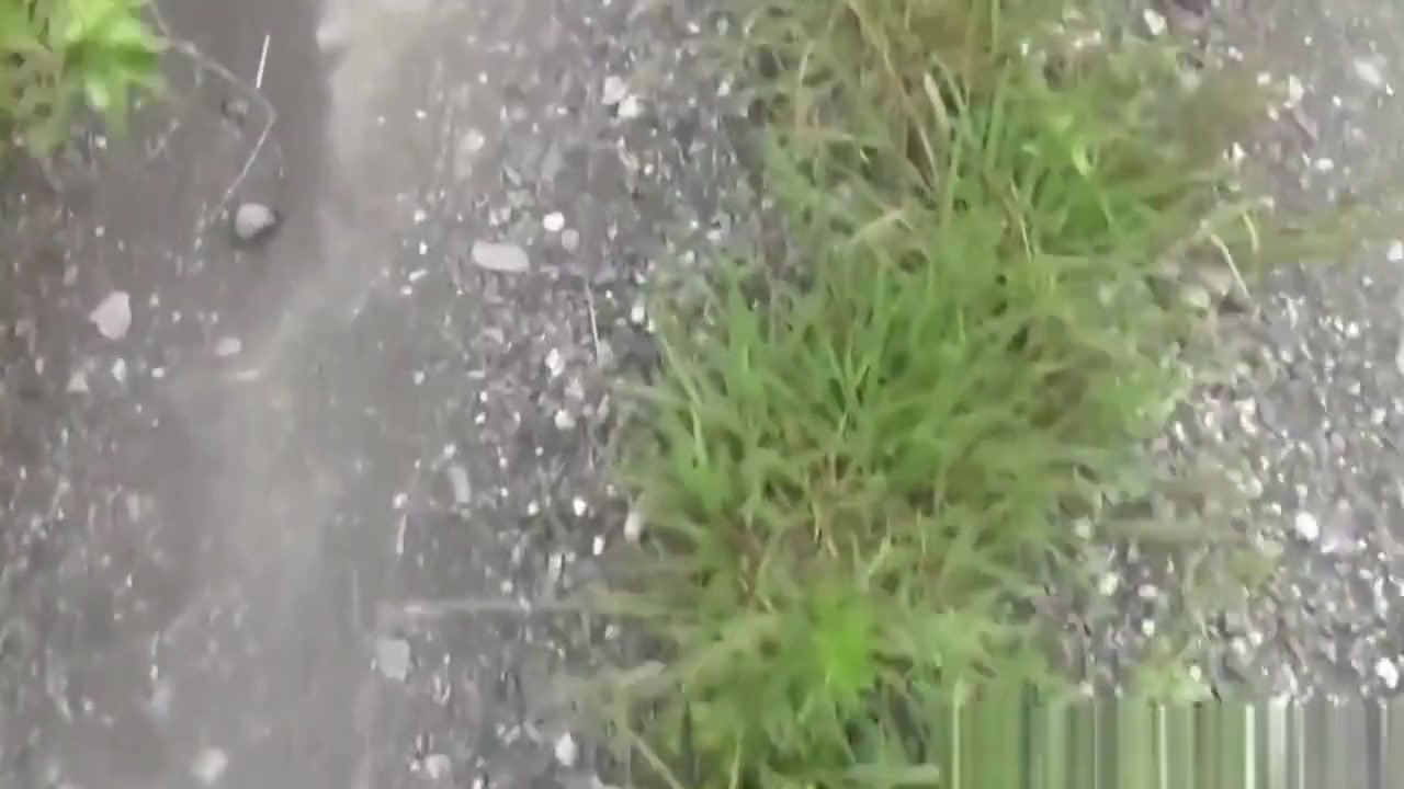 teen 18+ students 18+ Pee Outside