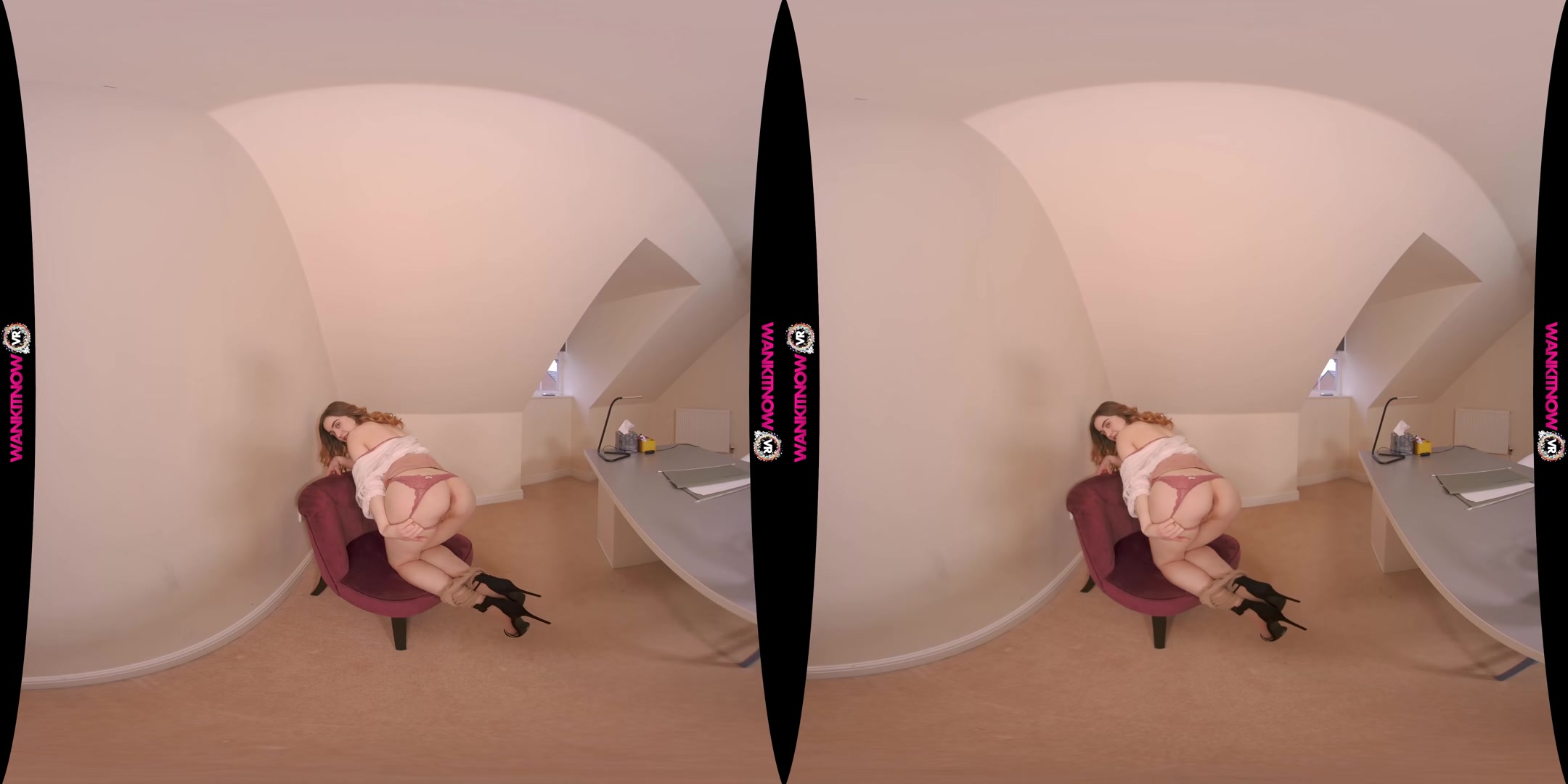 Wank Thief - WankitnowVR