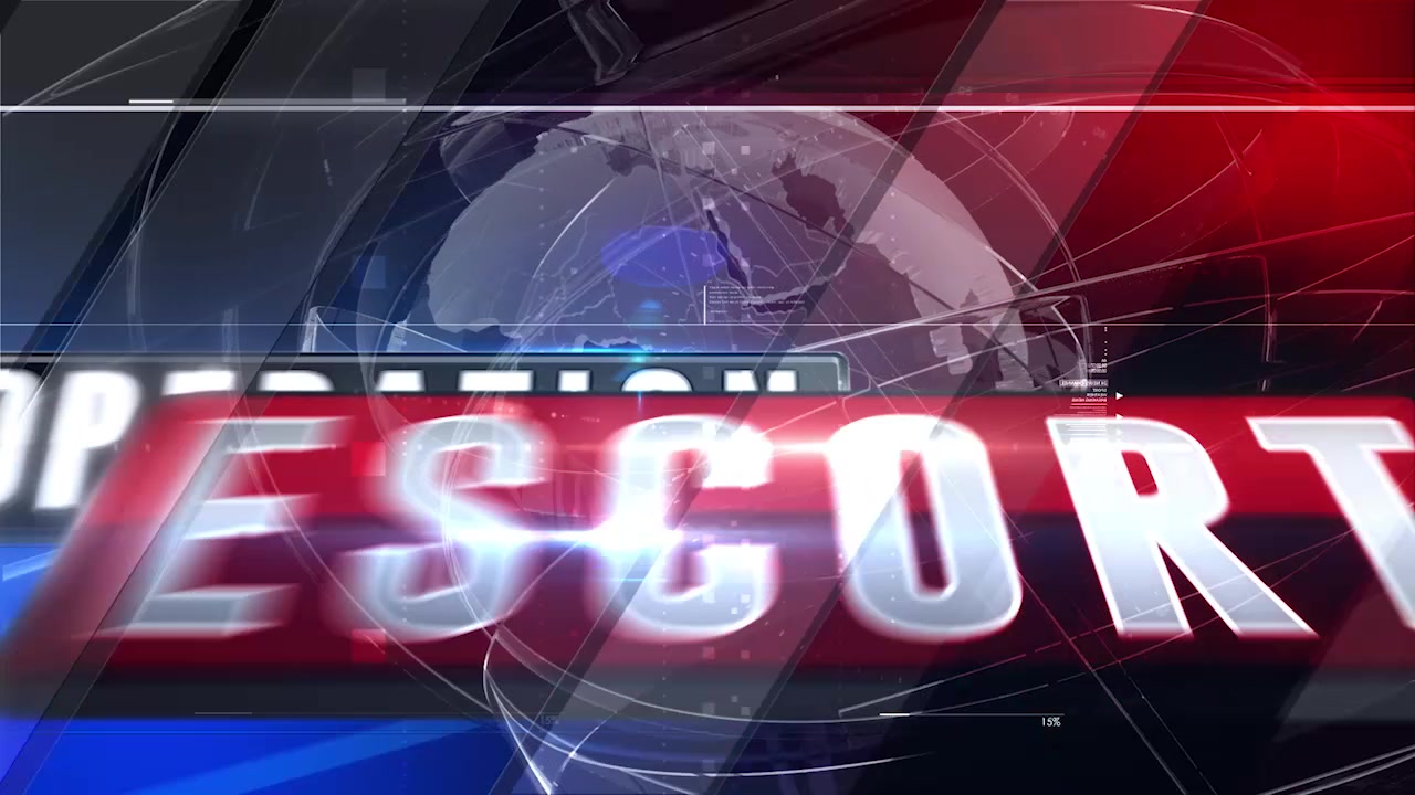 Operation Escort - Case 002 - Ariel Grace