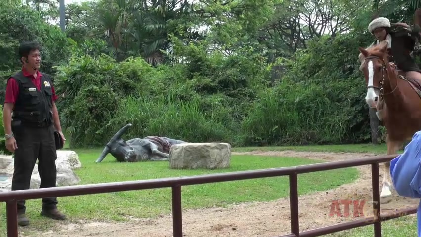 ATKGirlfriends video: virtual vacation with Hope Howell in Singapore