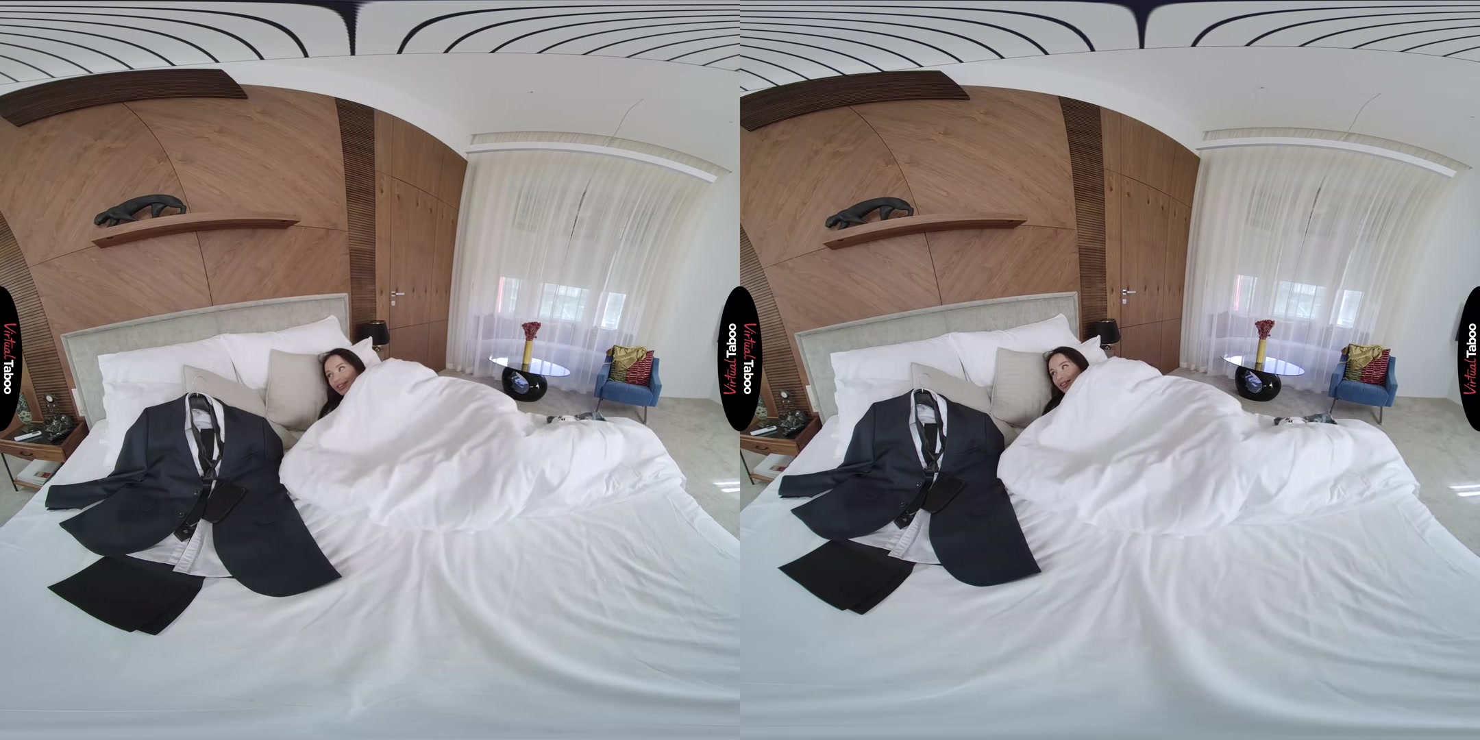 What Bed Hides