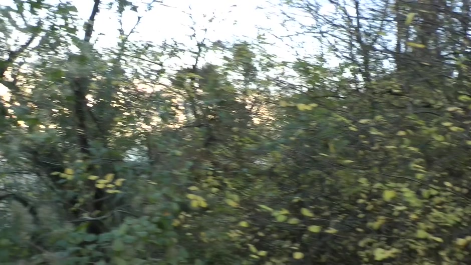 Breasty slut fucks in a public boat and in a park